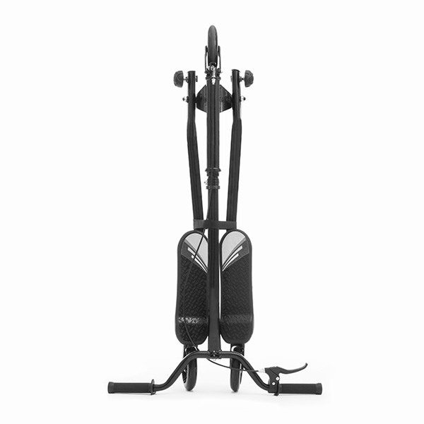 Speedy 3-rattaline Tõukeratas